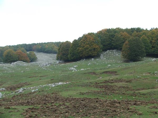 Monte Livata