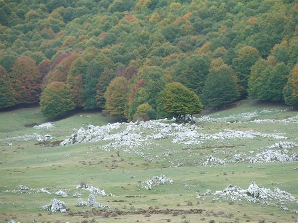 Monte Livata