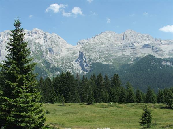 Rocky peaks above fir forest and green meadow, blue sky with clouds