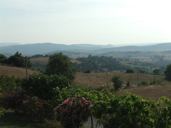 sweet Tuscan hills