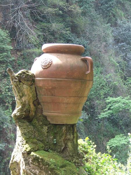 Large terracotta amphora with handle resting on mossy trunk, green forest behind