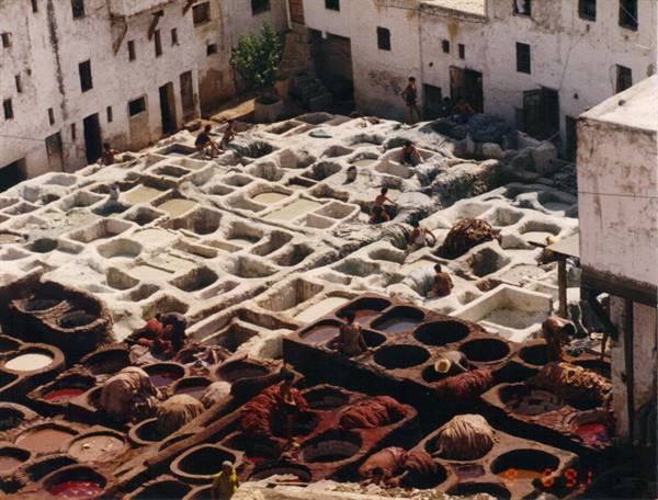 Fez, the tanners' quarter