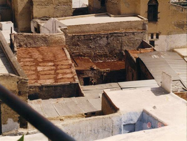 Fez, the tanners' quarter