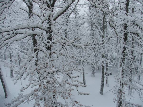 snowfall