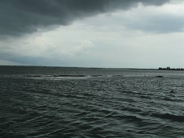 Sacca di Goro,Delta Park
