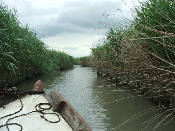 Sacca di Goro,Delta Park