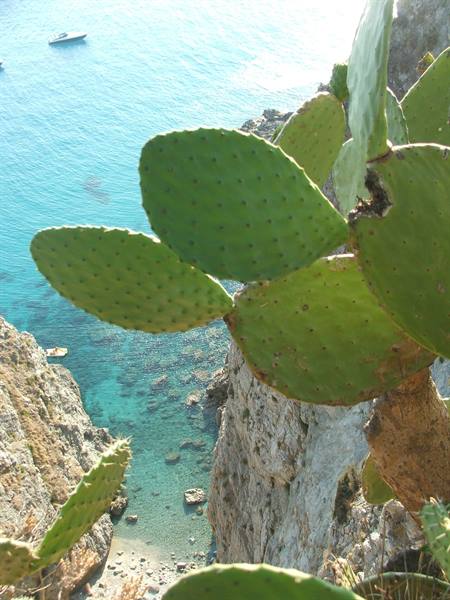 Capo Vaticano