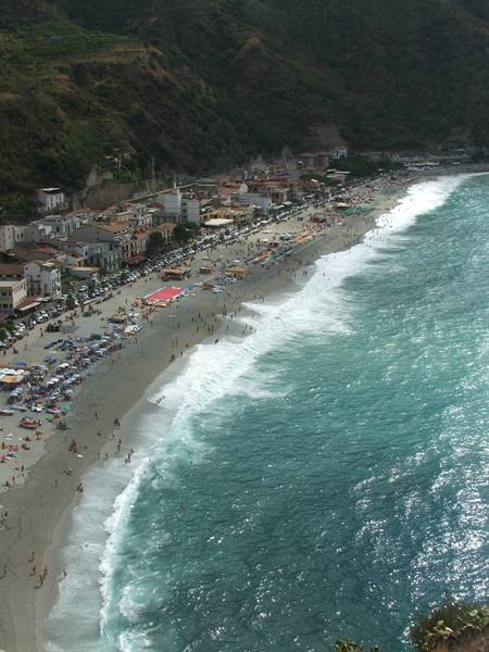 Scilla