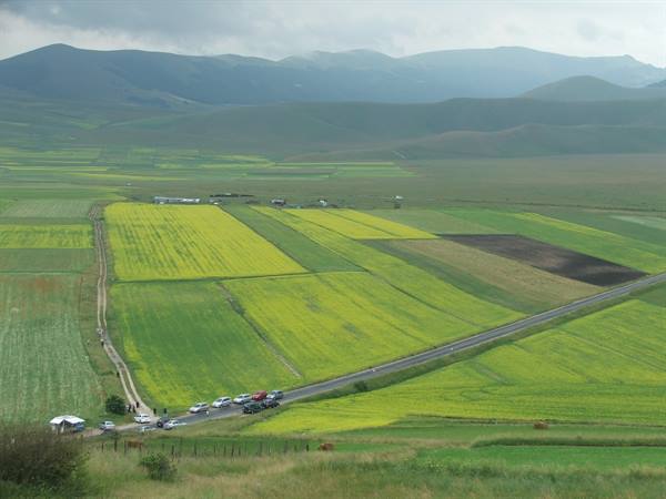 Great plain of Castelluccio