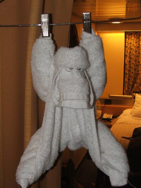 a little monkey in the cabin..