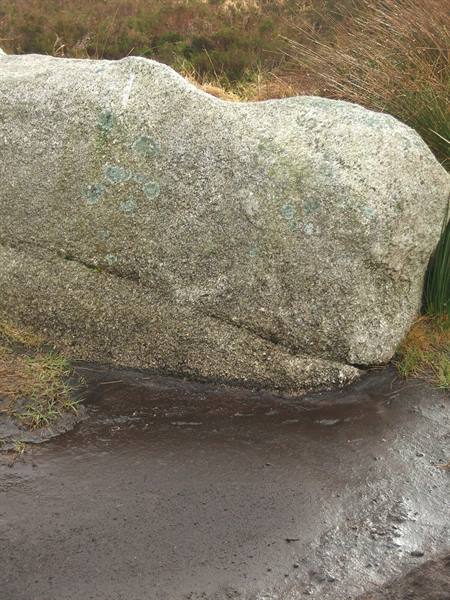 Wicklow Hills, peat bog