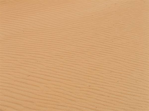 The desert