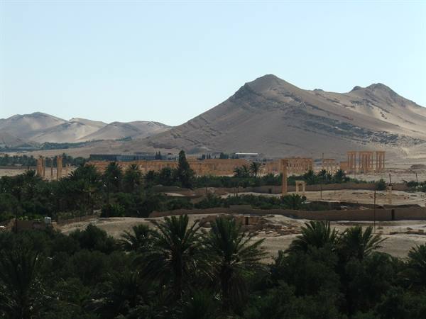 Palmyra