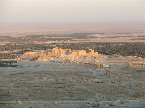 Palmyra