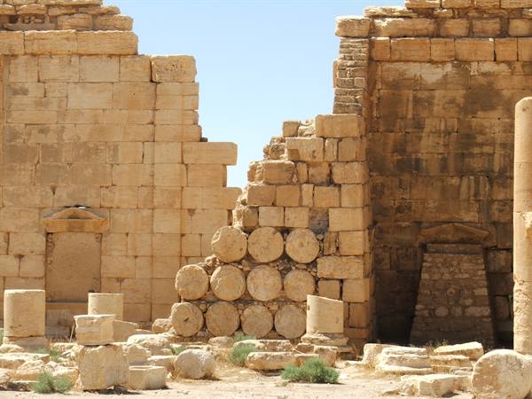 Palmyra
