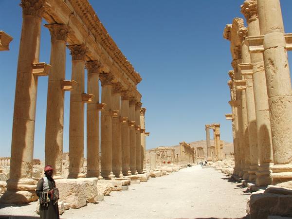 Palmyra