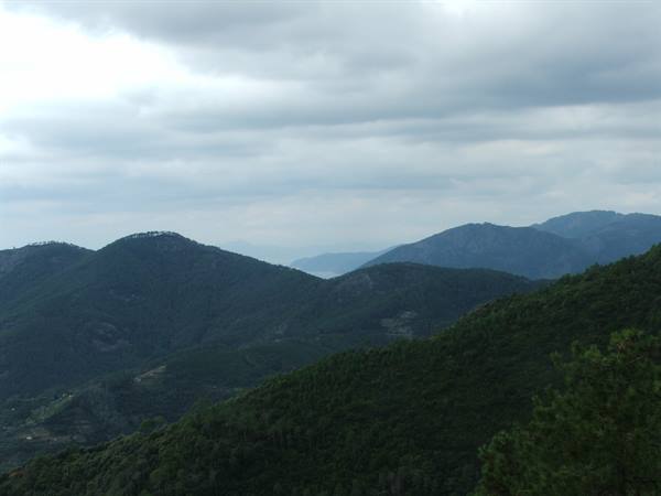 ..panorama from a trail...