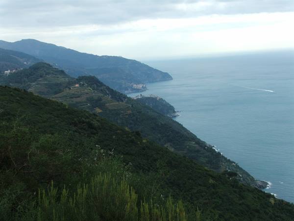 ...panorama from a trail..........