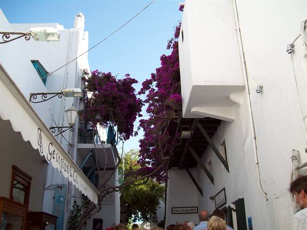 Bougainvillea everywhere, white little houses very very romantic