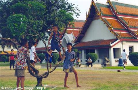Children climb a tree in front of a Thai temple with golden roofs