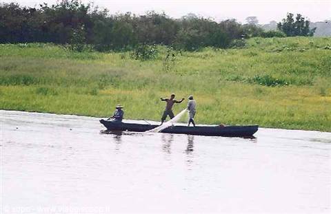 Three fishermen on a canoe throwing a net into the river