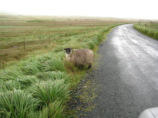 Connemara