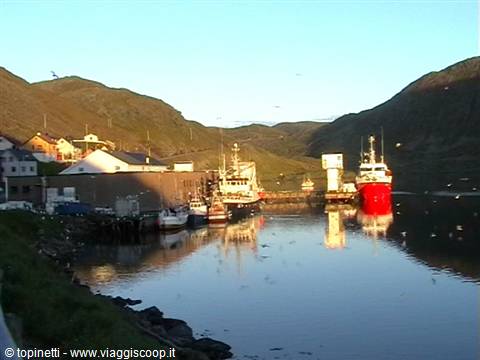 Kamøyvær ( Norway)