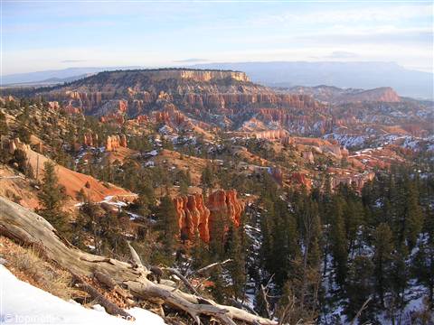 Bryce Canyon ( Utah )