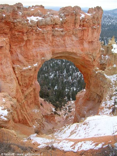 Bryce Canyon ( Utah )