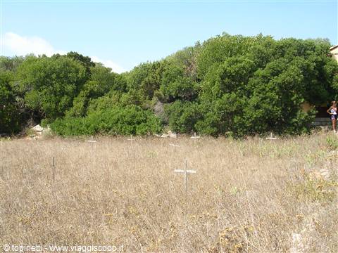 Prisoners' cemetery of Pianosa