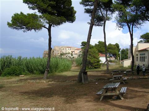 Picnic tables among pines, Peschici village perched on the rock behind