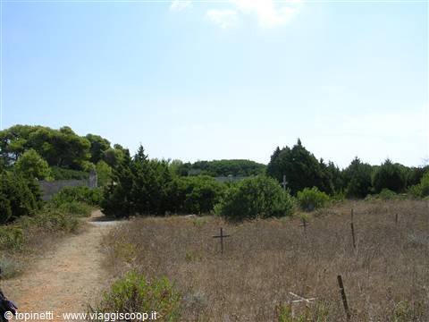 Prisoners' cemetery of Pianosa