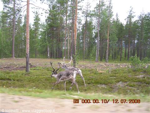 Finnish Finnmark