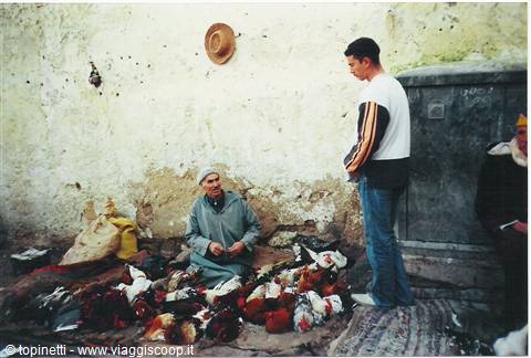 Fes: the medina