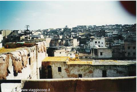 Fes: the tanneries