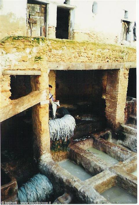 Fes the tanneries