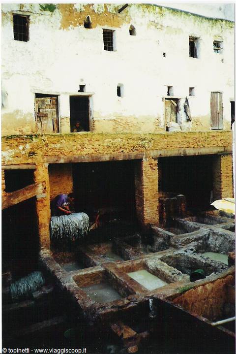 Fes: tanneries