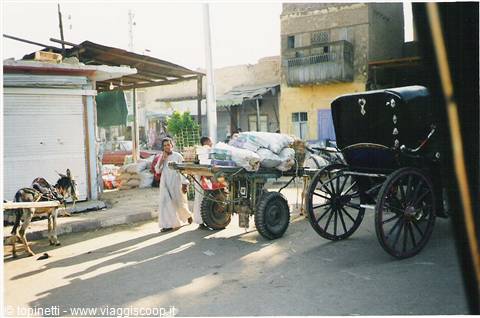 Donkey cart and black horse carriage on a village street