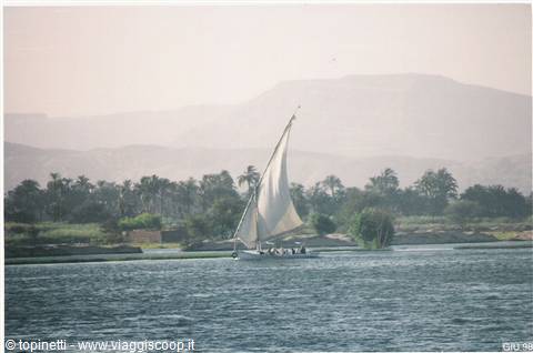 White-sailed felucca on the Nile, palm-lined shore and hazy mountains