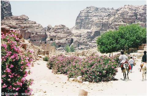 Horse riders among pink oleander and sandstone cliffs in Petra