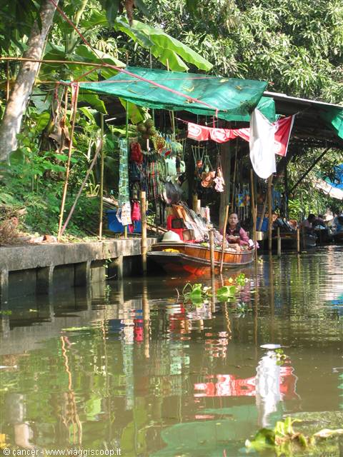 The floating market
