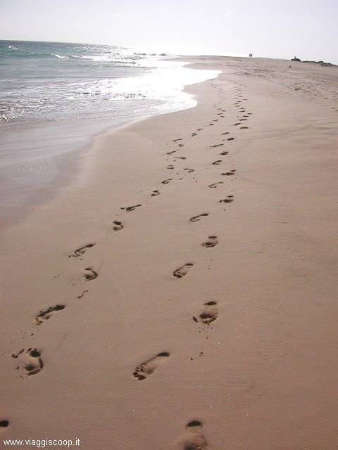 Footprints on pink sand beside the ocean waves
