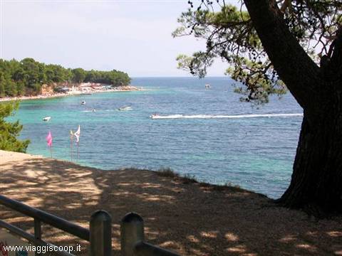 Speedboat crossing turquoise water near the beach, pine tree shading the terrace