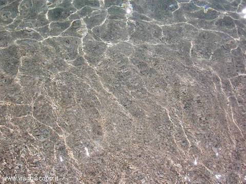 Clear rippling water reflects sunlight over submerged pebbles and gravel