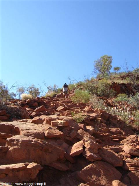 King's Canyon