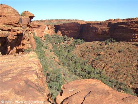 Kings Canyon, red sandstone cliffs and green scrubland under blue sky