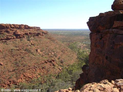 Red rock cliffs and green vegetation on the floor of Kings Canyon