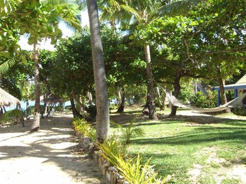 Sandy path between palm trees and hammocks at a tropical resort
