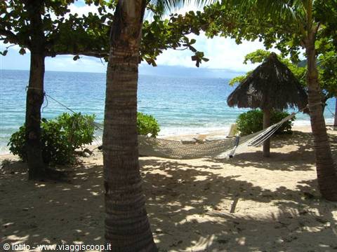 Hammock between palm trees on tropical beach, thatched umbrella and turquoise sea