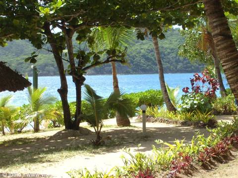 Tropical beach with palm trees, white sand and turquoise sea
